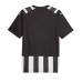 Borussia Monchengladbach Replica Third Shirt 2023-24 Short Sleeve
